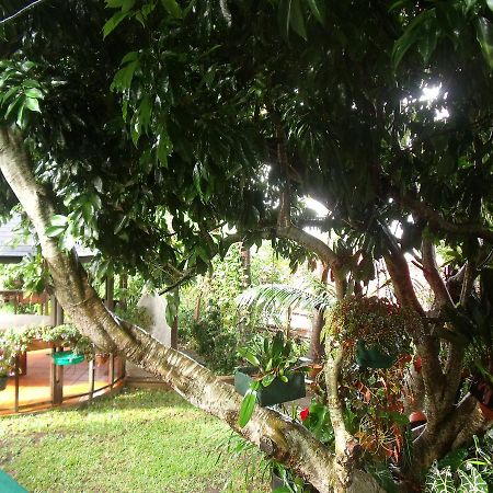 Villa Les Agapanthes à Le Tampon Extérieur photo