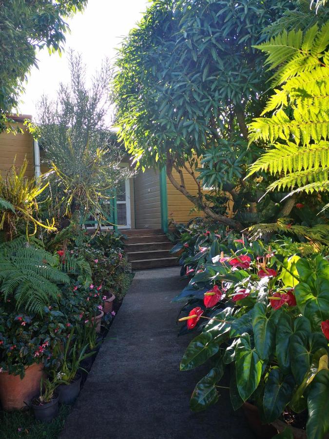 Villa Les Agapanthes à Le Tampon Extérieur photo