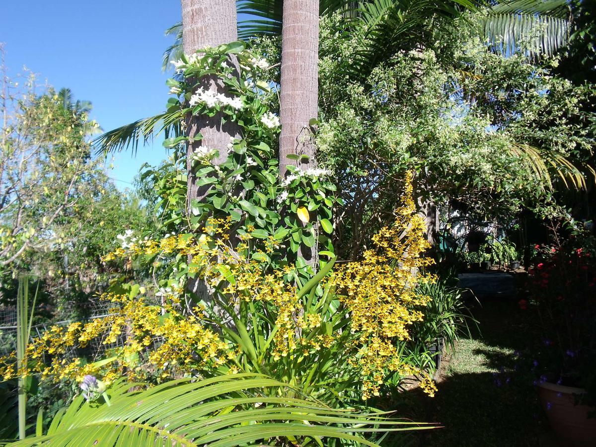 Villa Les Agapanthes à Le Tampon Extérieur photo