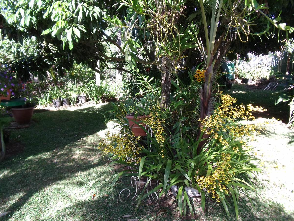 Villa Les Agapanthes à Le Tampon Extérieur photo
