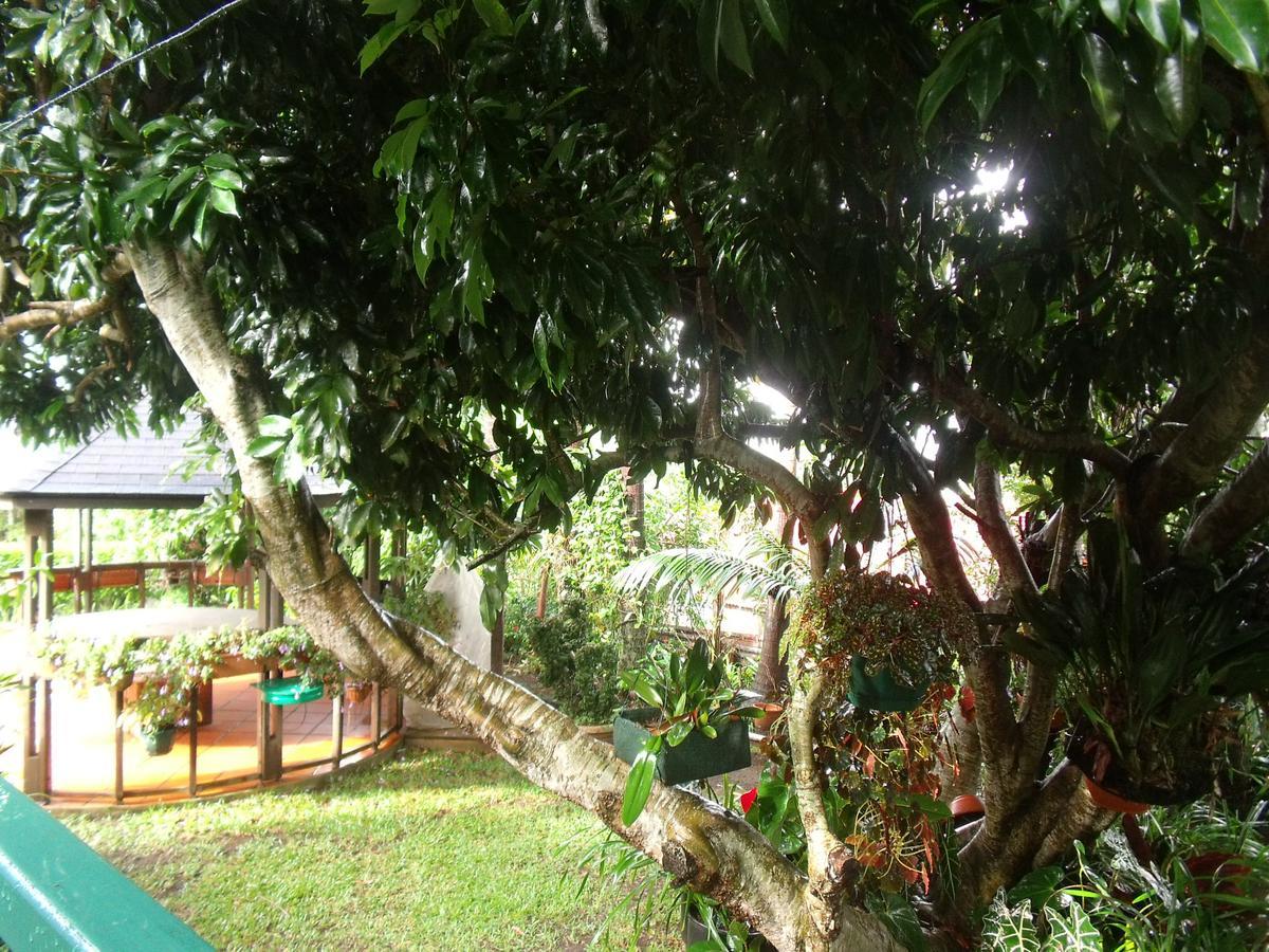 Villa Les Agapanthes à Le Tampon Extérieur photo